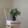 Vase No.5 | Gold