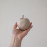 Fruits | Latte
