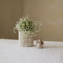 Vase No.3 | Latte