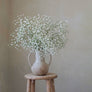 Vase No.5 | Latte
