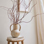 Vase No.5 | Latte