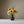 Vase No.5 | Gold