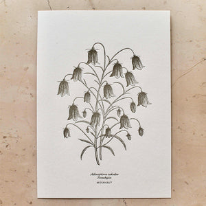 Botanical Poster Iwashajin